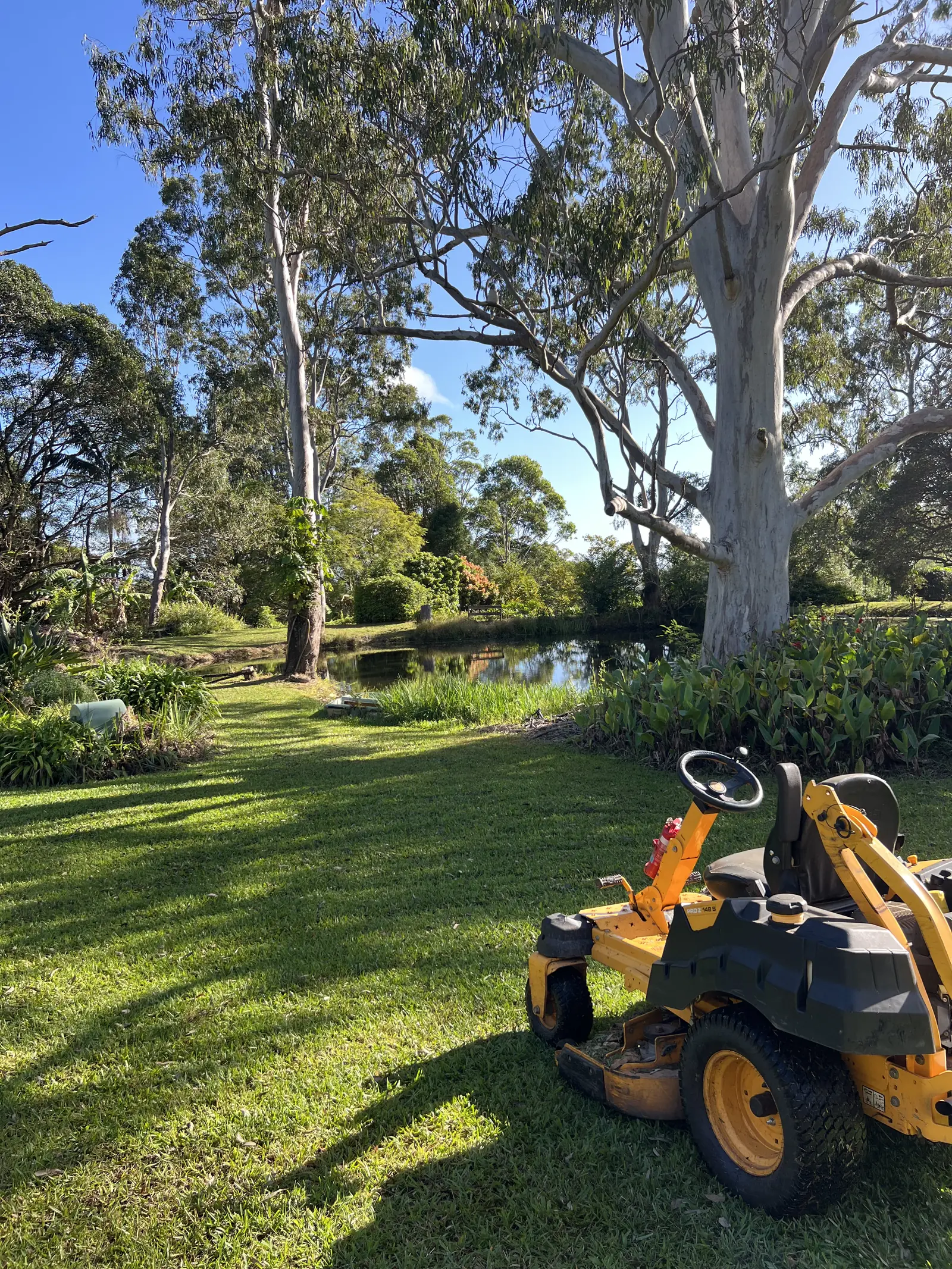 Ride on mower on a freshly mown acreage lawn under gum trees