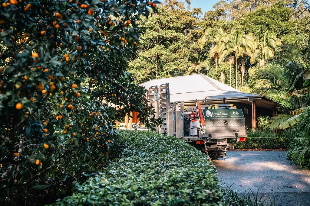 Clipped hedge and the GreenStreet ute and trailer on a leafy hinterland driveway